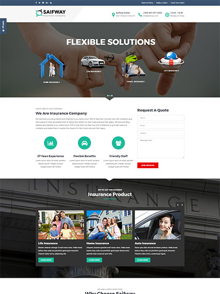 Maxeemize Online Marketing-Insurance Website Design