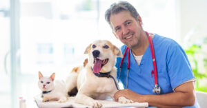 Marketing Ideas for a Veterinary Practice in Orange County, California